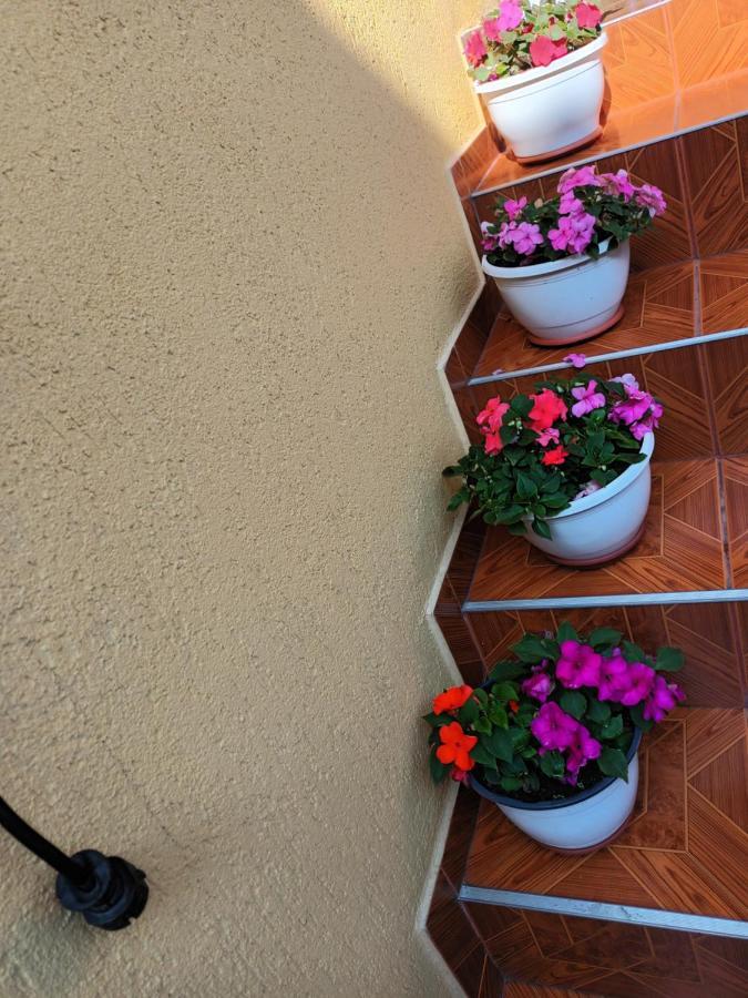 Hotel Casa Vio Sighişoara Exterior foto