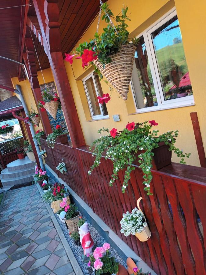 Hotel Casa Vio Sighişoara Exterior foto